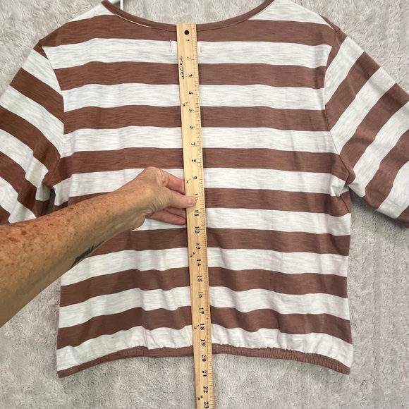 Pact Organic Cotton Striped Brown Ivory Top Sz M Short Sleeve Ecofriendly - Picture 11 of 13